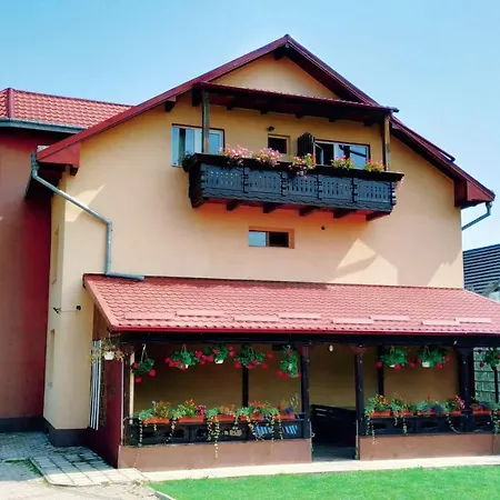 Pensiunea Bucovina Gura Humorului