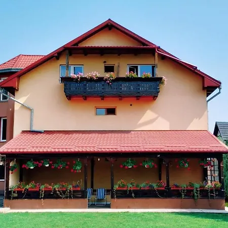 Guest house Pensiunea Bucovina Gura Humorului