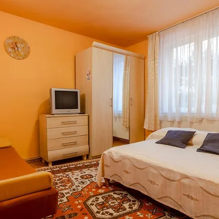 Pensiunea Bucovina Guest house