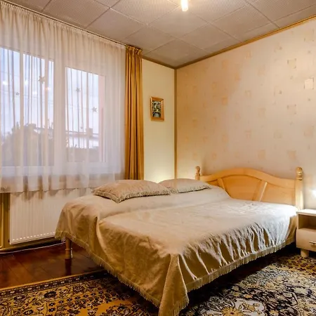 Guest house Pensiunea Bucovina Gura Humorului