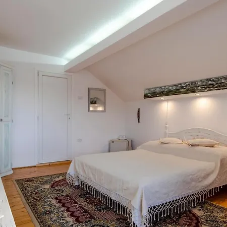 Guest house Pensiunea Bucovina