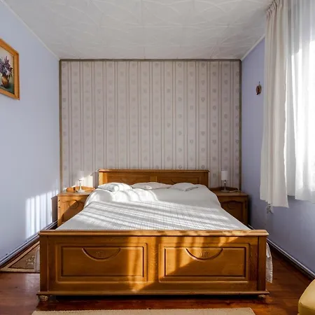 Pensiunea Bucovina Guest house
