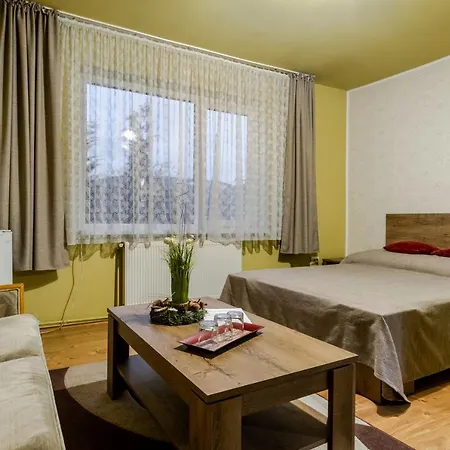 Pensiunea Bucovina Guest house