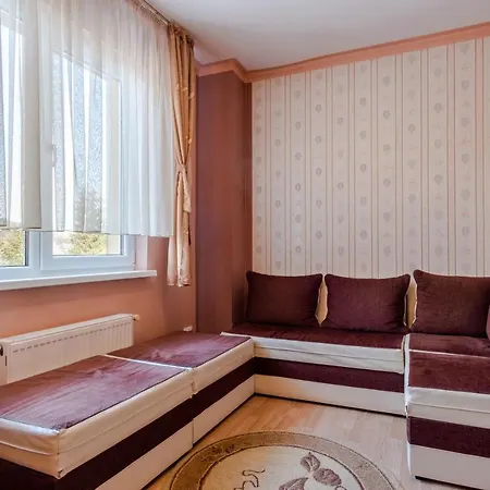 Pensiunea Bucovina Guest house *