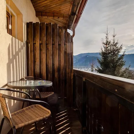 Guest house Pensiunea Bucovina *