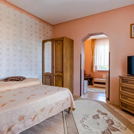 Guest house Pensiunea Bucovina *