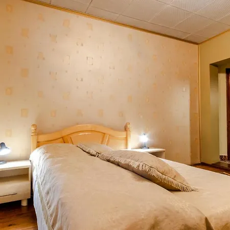 Pensiunea Bucovina Guest house